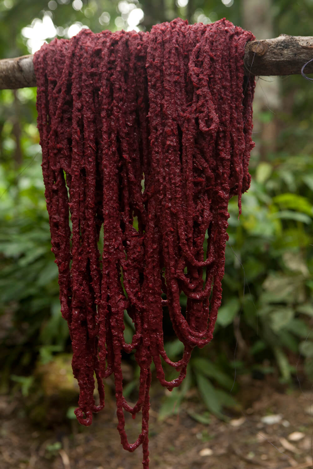 PALOBRASIL 26_galeria_MG_4870.jpg